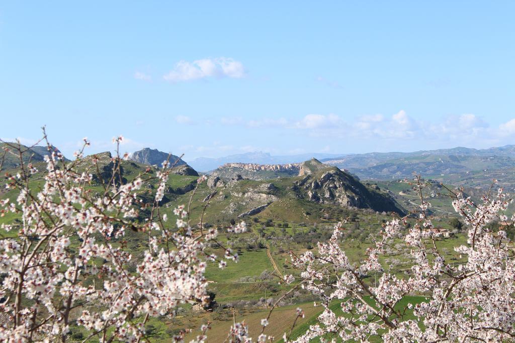 Agriturismo Feudo Muxarello Aragona Eksteriør billede