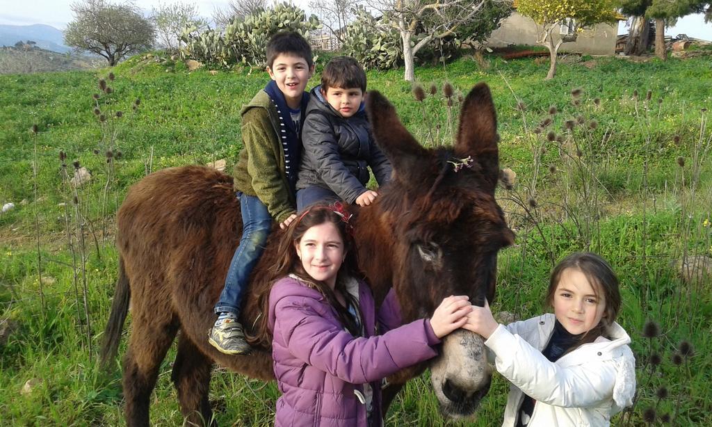 Agriturismo Feudo Muxarello Aragona Eksteriør billede
